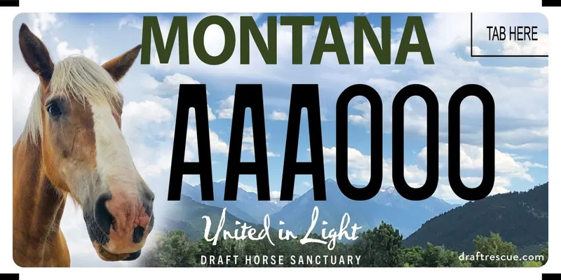 A license plate showing mountain range and blue cloud filled sky. Left is a photo of a brown and white horse's head with a blonde mane. Bottom says United in Light and Draft Horse Sanctuary.