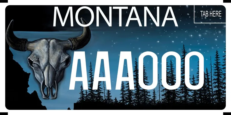 A black license plate with white text and a blue outline of state. A buffalo skull is on left with black silhouettes of pine trees along bottom. White stars in upper sky.