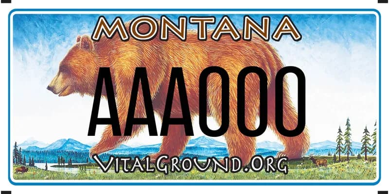A license plate with a a large grizzly bear illustration. Bottom says Vital ground dot org.