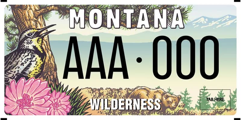A license plate with white and black text. Illustrated wildlife scene of a meadowlark bird, ponderosa pine, bitterroot flower, grizzly bear, and mountains in distance. Bottom says Wilderness.