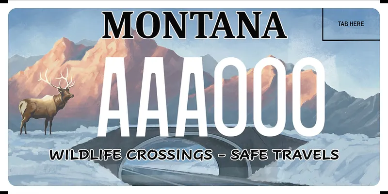 A license plate with black and white text. A painting of an elk about to cross a wildlife highway crossing over a highway. Snow along both sides of highway with mountains in distance.