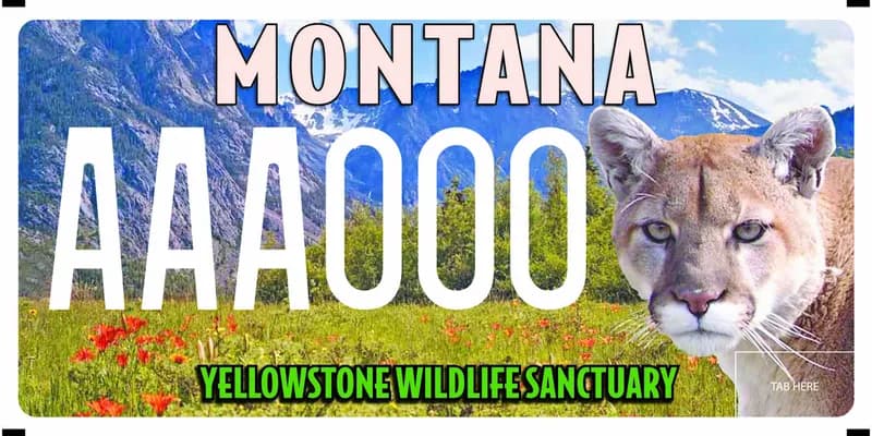 A license plate with white and green text. Photo of mountains, meadow, wildflowers, and mountain lion. Text at bottom of plate says Yellowstone Wildlife Sanctuary.